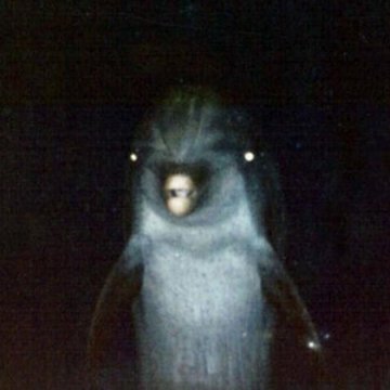 Gerald The Dolphin 6